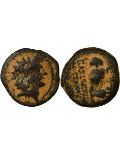 Grèce (Royaume Seleucide) Antiochos VIII à la Chouette 1 ae Cuivre 123-121 Av JC Antioche
