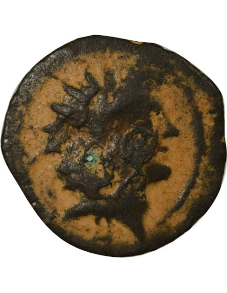 Grèce (Royaume Seleucide) Antiochos VIII à la Chouette 1 ae Cuivre 123-121 Av JC Antioche