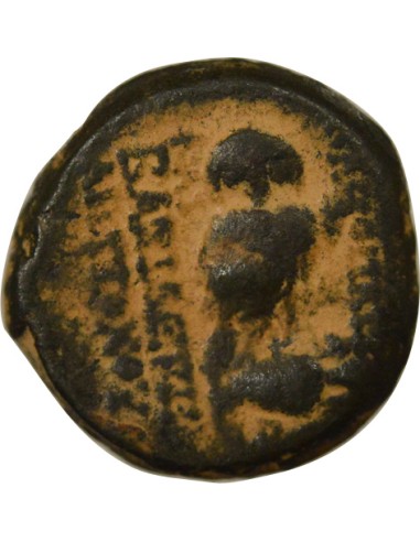 Grèce (Royaume Seleucide) Antiochos VIII à la Chouette 1 ae Cuivre 123-121 Av JC Antioche