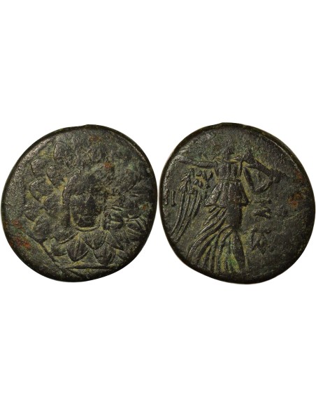 Royaume du Pont Mithridates VI à l'Egide 1 tetrachalque Bronze 85 / 65 Av JC Amisos