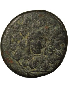 Royaume du Pont Mithridates VI à l'Egide 1 tetrachalque Bronze 85 / 65 Av JC Amisos 2