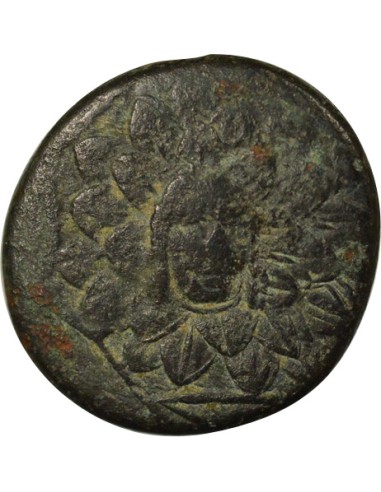 Royaume du Pont Mithridates VI à l'Egide 1 tetrachalque Bronze 85 / 65 Av JC Amisos