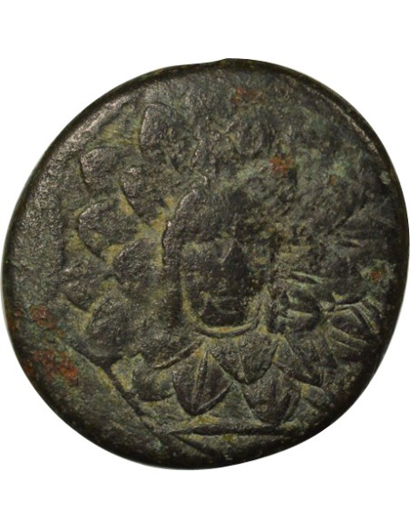 Royaume du Pont Mithridates VI à l'Egide 1 tetrachalque Bronze 85 / 65 Av JC Amisos