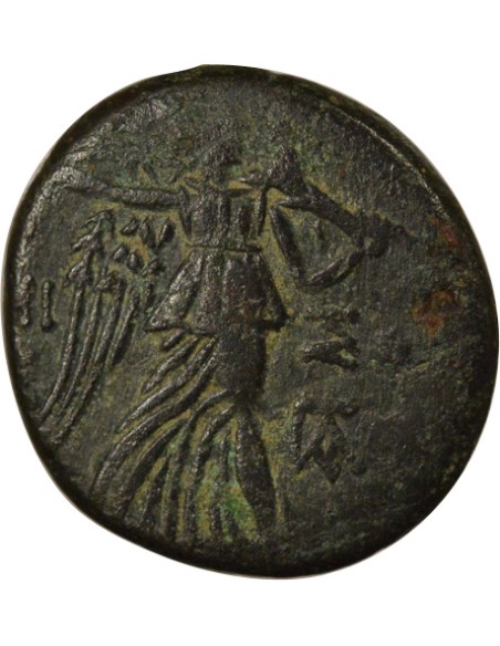 Royaume du Pont Mithridates VI à l'Egide 1 tetrachalque Bronze 85 / 65 Av JC Amisos