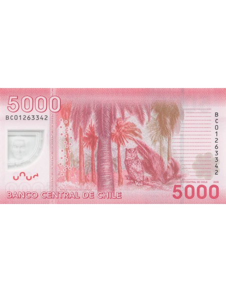 Chili 5000 Pesos - Gabriela Mistral - 2009 - P.163 5000 pesos 2009