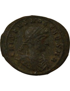 Rome Empire Crispus aux Victoires 1 nummus Cuivre 318-319 Siscia 2