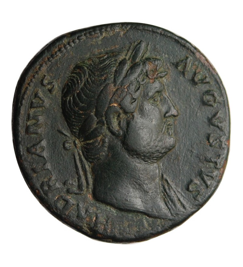 HADRIEN - SESTERCE BRONZE ROME﻿ 126