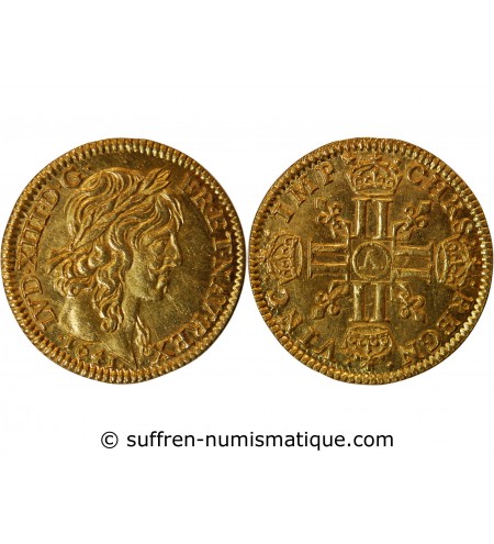 LOUIS XIII - 1/2 LOUIS D'OR A LA MECHE LONGUE 1641 A PARIS