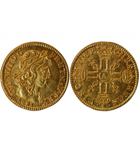 LOUIS XIII - 1/2 LOUIS D'OR A LA MECHE LONGUE 1641 A PARIS