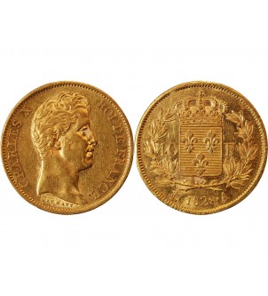 CHARLES X﻿ - 40 FRANCS OR 1828 A PARIS﻿ 2
