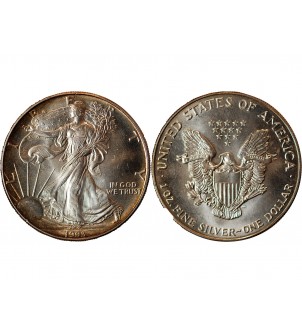 USA - ONCE LIBERTY ARGENT 1993 2