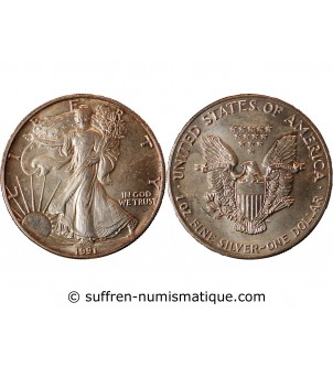 USA - ONCE LIBERTY ARGENT 1991