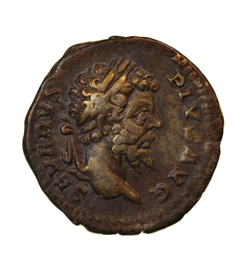 SEPTIME SEVERE - DENIER ARGENT 202 ROME