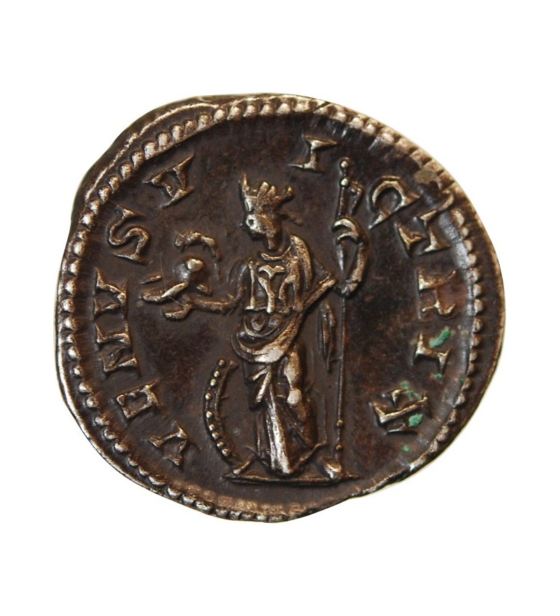 JULIA MAMEE - DENIER ARGENT﻿ 224