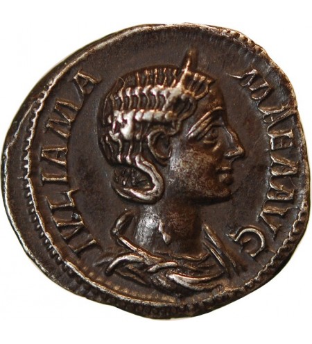 JULIA MAMEE - DENIER ARGENT﻿ 224