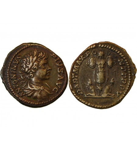 CARACALLA - DENIER ARGENT 206 ROME