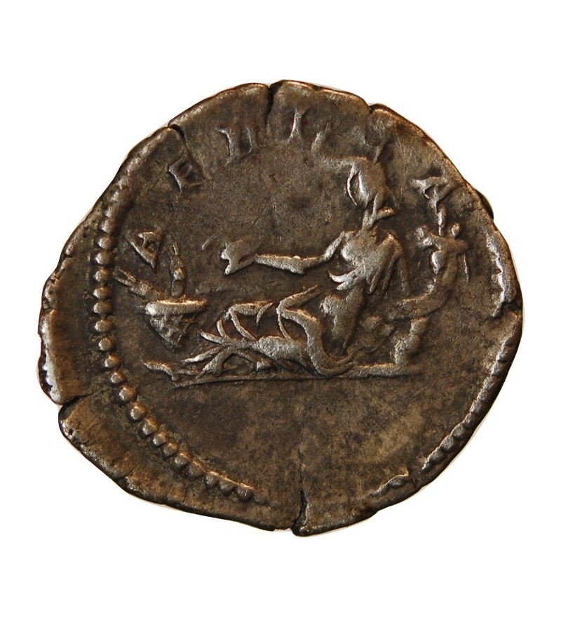 SEPTIME SEVERE - DENIER ARGENT 207 ROME