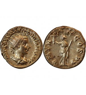 GORDIEN III - ANTONINIEN 239 ROME 2