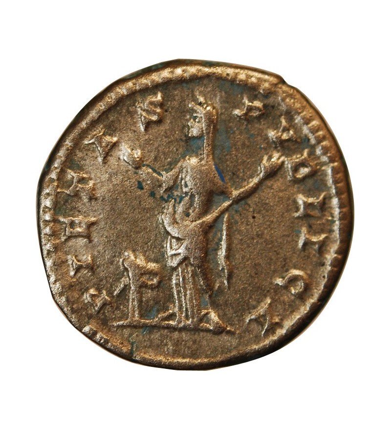 JULIA DOMNA - DENIER ARGENT﻿ 203 ROME