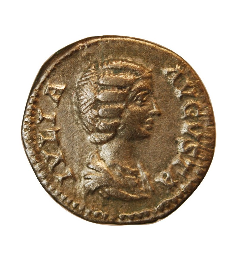 JULIA DOMNA - DENIER ARGENT﻿ 203 ROME