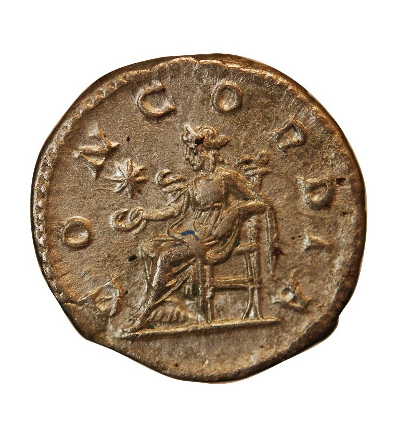 JULIA PAULA - DENIER ARGENT﻿ 204 ROME