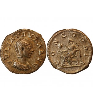 JULIA PAULA - DENIER ARGENT﻿ 204 ROME 2