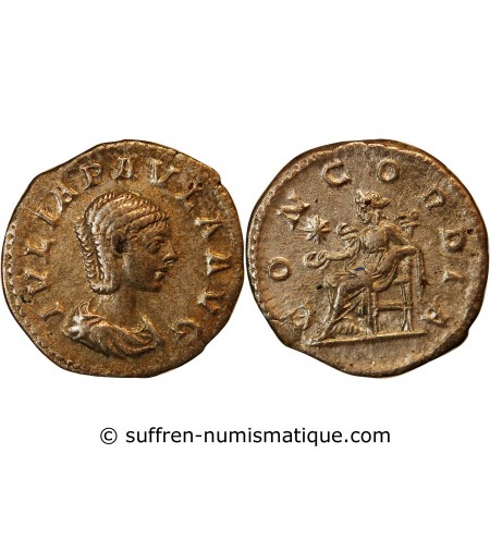 JULIA PAULA - DENIER ARGENT﻿ 204 ROME