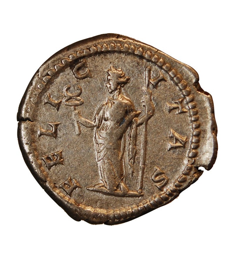 JULIA DOMNA - DENIER ARGENT﻿ 206 ROME