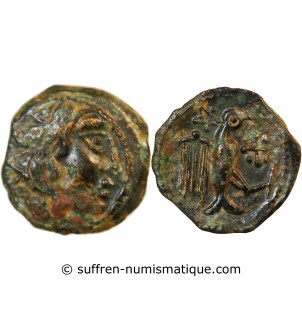 CARNUTES, REGION DE LA BEAUCE - BRONZE "à l'aigle" - DT.2577