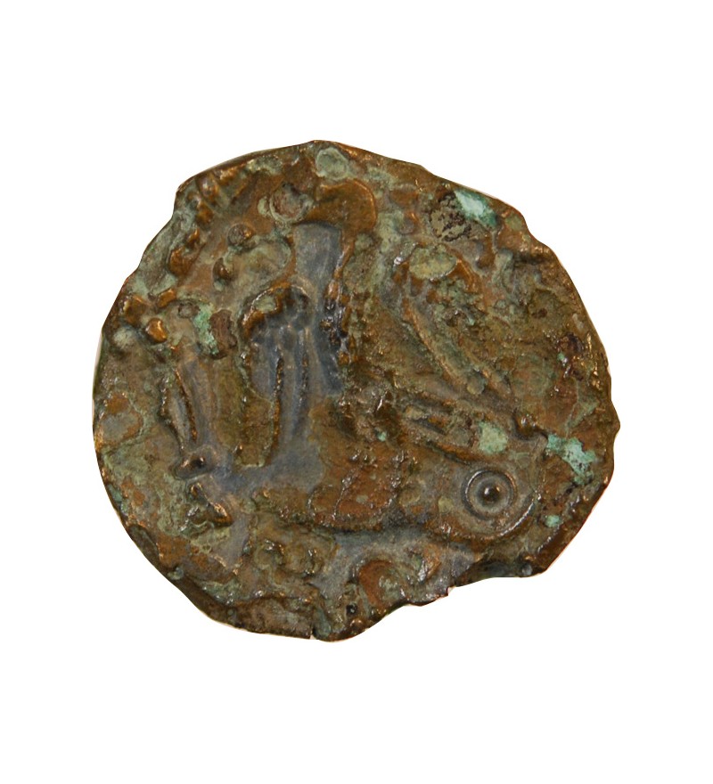 CARNUTES, REGION DE LA BEAUCE - BRONZE "aux oiseaux et au serpent" - DT.2471