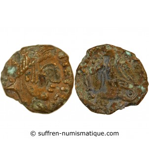 CARNUTES, REGION DE LA BEAUCE - BRONZE "aux oiseaux et au serpent" - DT.2471