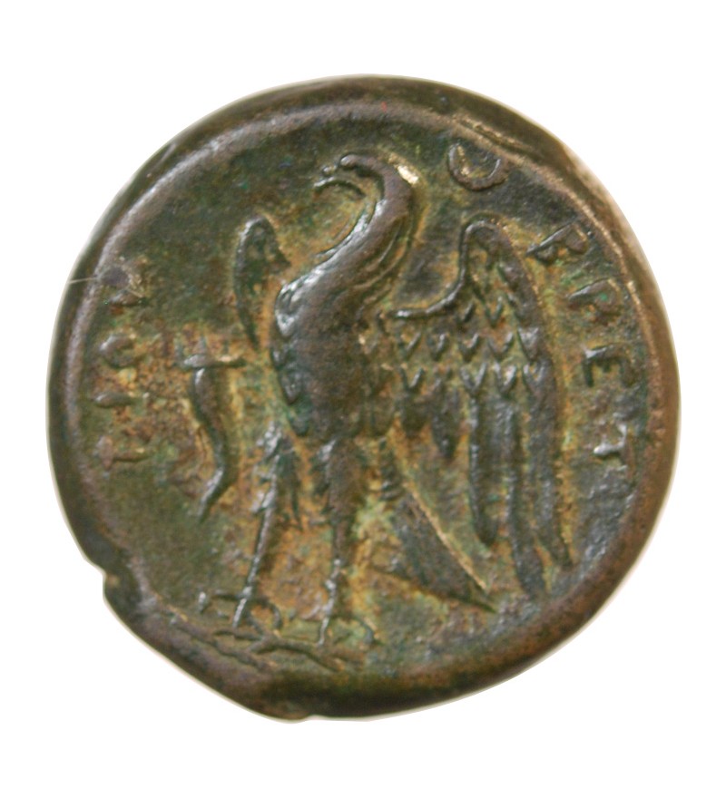BRUTTIUM, LES BRETTIENS  - DRACHME bronze - 215/203 av. JC