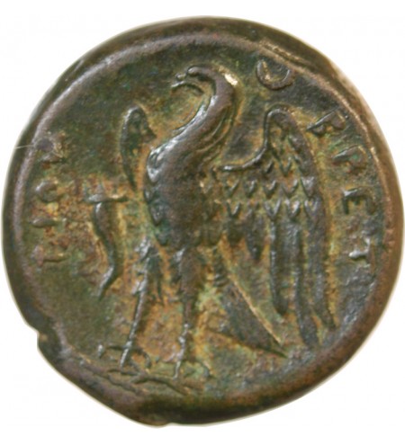 BRUTTIUM, LES BRETTIENS  - DRACHME bronze - 215/203 av. JC
