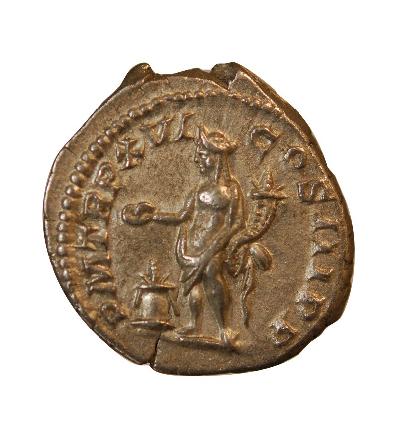 SEPTIME SEVERE - DENIER ARGENT 208 ROME