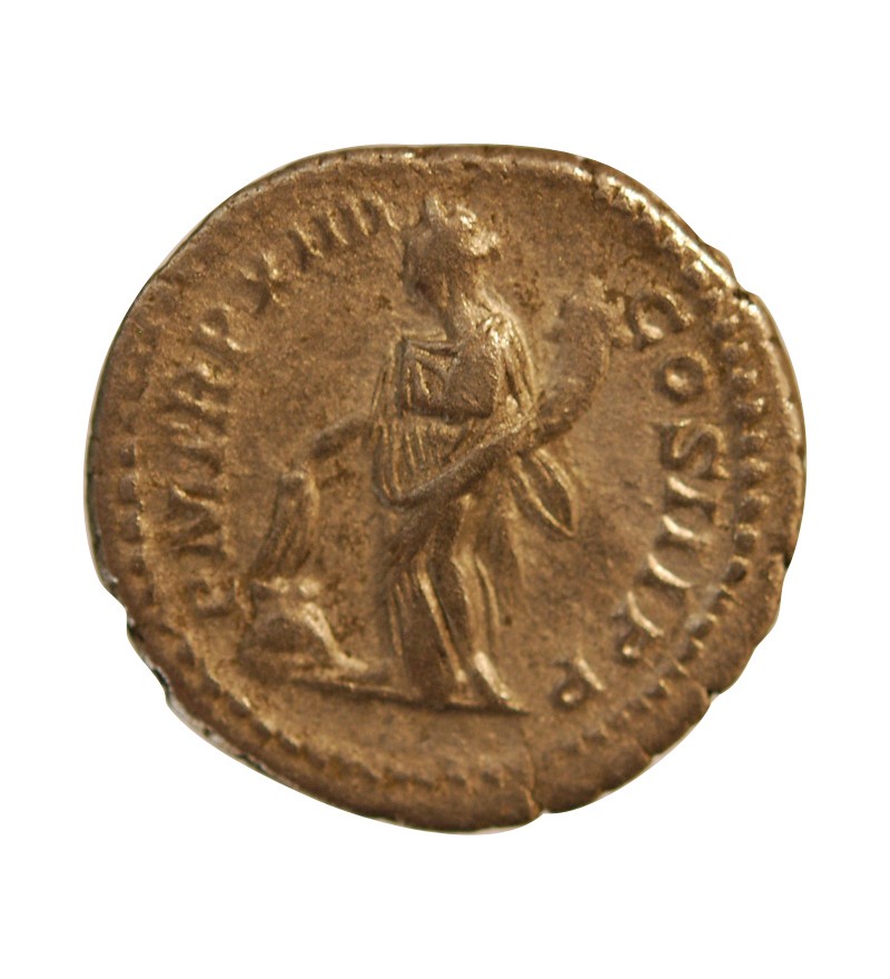 SEPTIME SEVERE - DENIER ARGENT 206 ROME