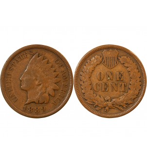 USA - ONCE CENT "Indian Head" 1889 2