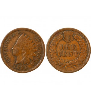 USA - ONCE CENT "Indian Head" 1895 2