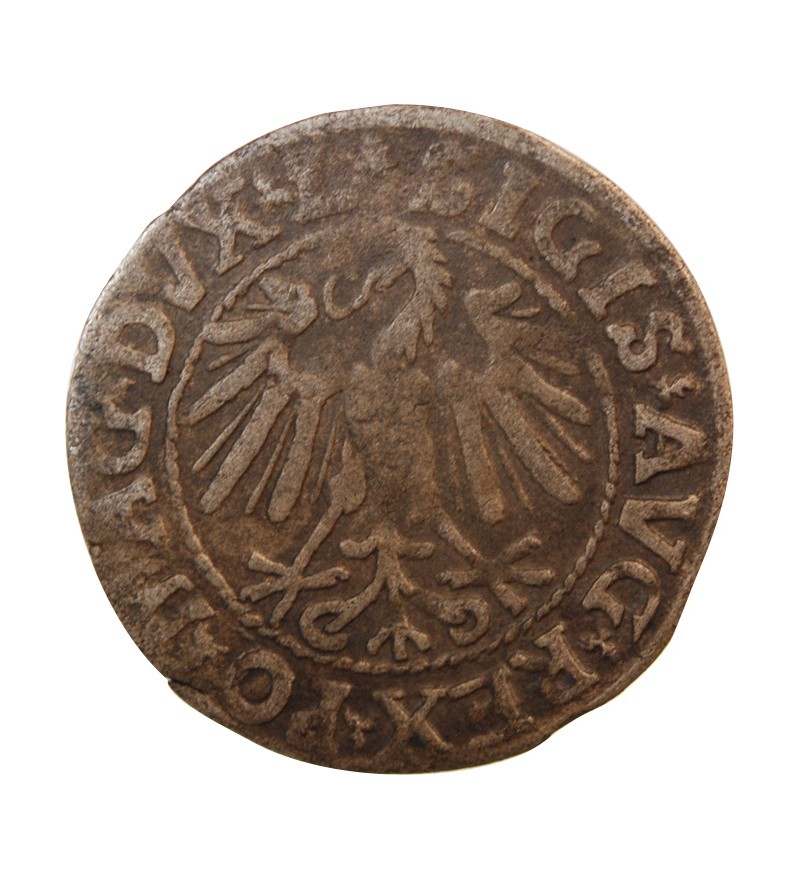 POLOGNE-LITUANIE, SIGISMOND II - 1/2 GROSCHEN ARGENT 1546