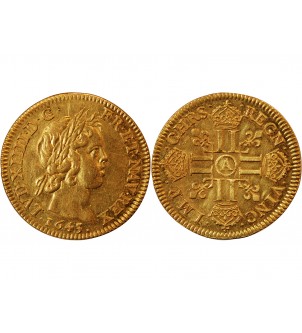 LOUIS XIV﻿ - LOUIS D'OR A LA MECHE COURTE 1643 A PARIS﻿ 2
