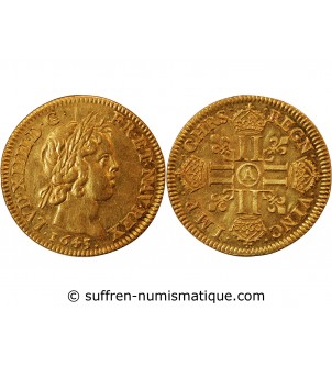 LOUIS XIV﻿ - LOUIS D'OR A LA MECHE COURTE 1643 A PARIS﻿