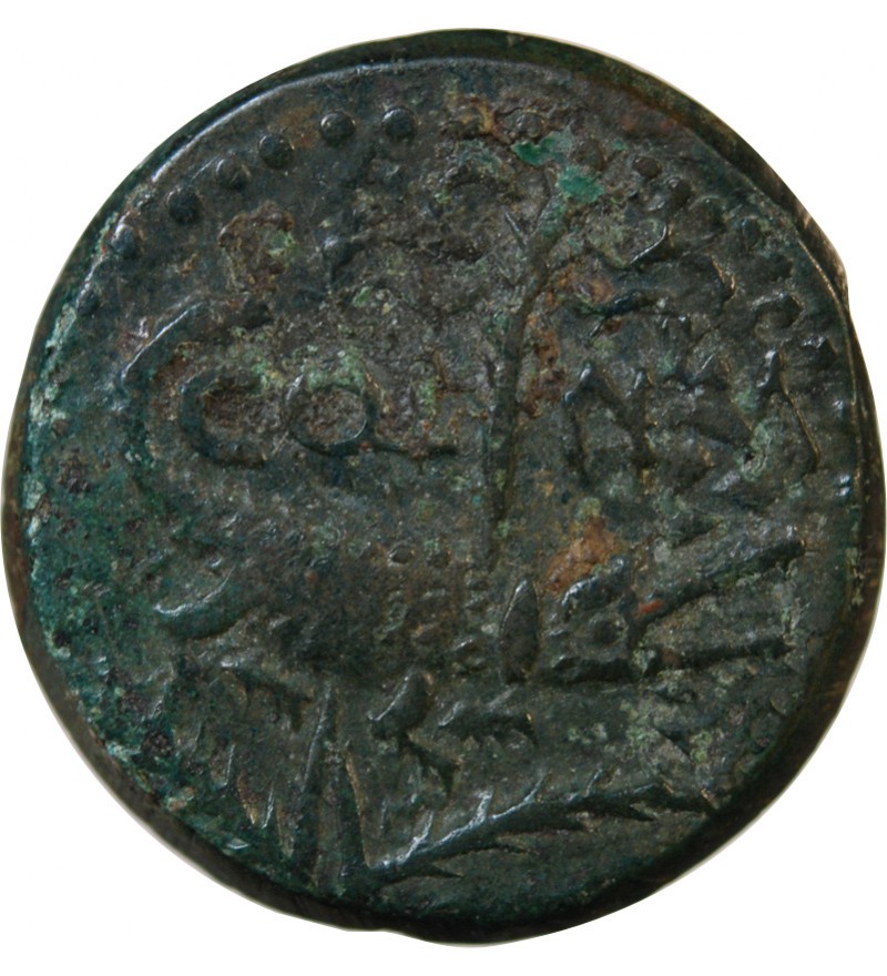 NEMAUSUS, NIMES, AUGUSTE ET AGRIPPA - DUPONDIUS Type 2 - 27 / 9 AV JC