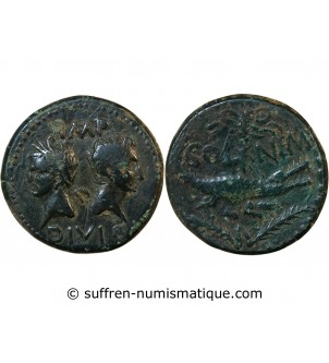 NEMAUSUS, NIMES, AUGUSTE ET AGRIPPA - DUPONDIUS Type 2 - 27 / 9 AV JC
