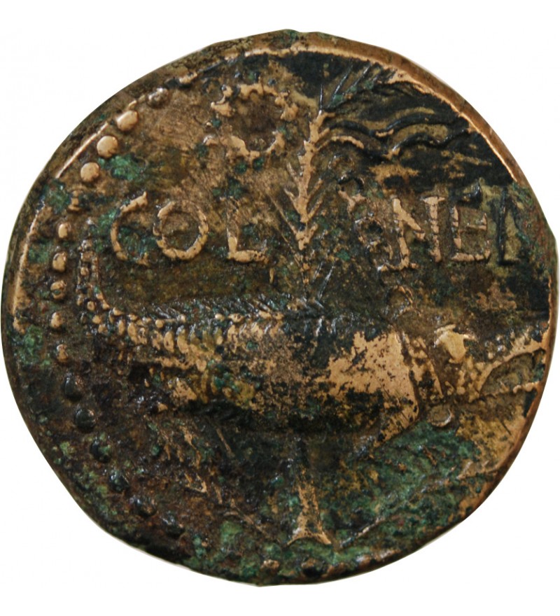 NEMAUSUS, NIMES, AUGUSTE ET AGRIPPA - DUPONDIUS Type 3 - Vers 10 AV JC