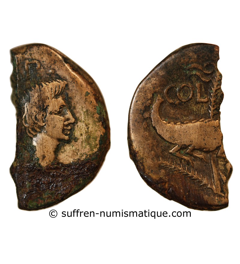 NEMAUSUS, NIMES, AUGUSTE ET AGRIPPA - 1/2 DUPONDIUS - 27 / 9 AV JC