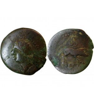 SANTONS, CENTRE-OUEST - QUADRANS ANNICCOIOS AU SANGLIER - LT.4326 2