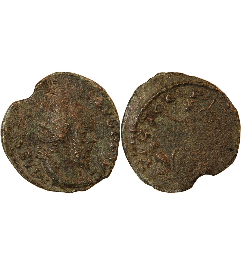 POSTUME - DOUBLE SESTERCE 261 COLOGNE