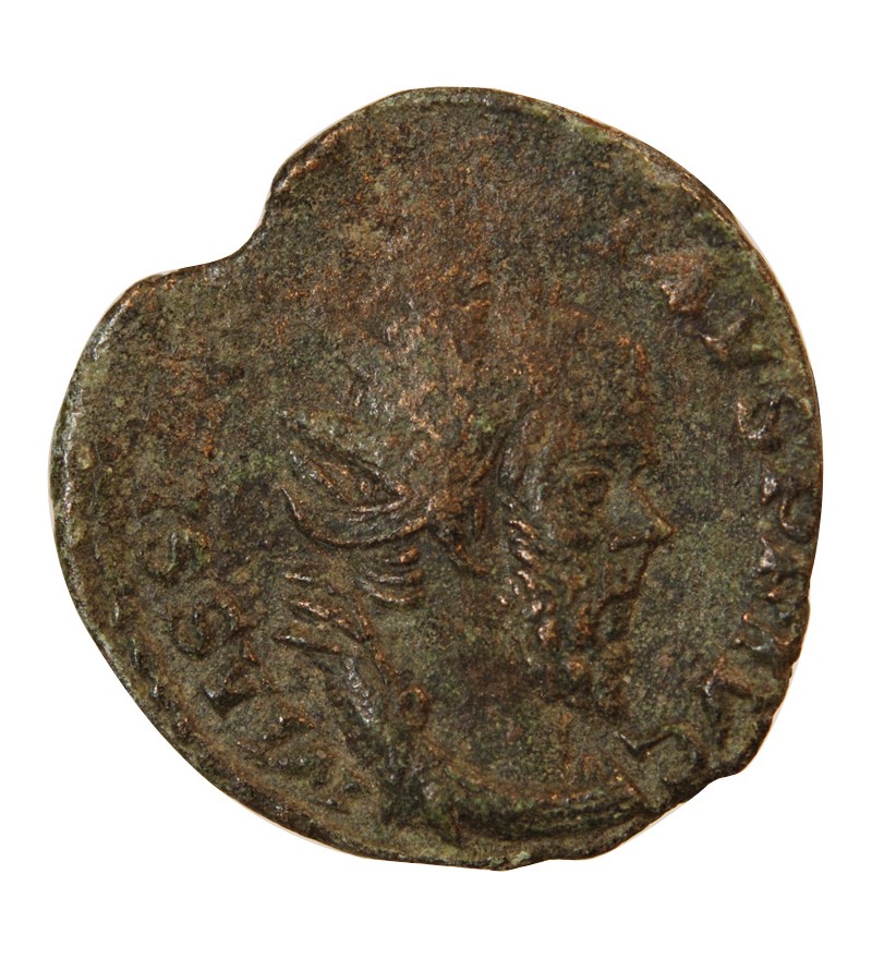 POSTUME - DOUBLE SESTERCE 261 COLOGNE