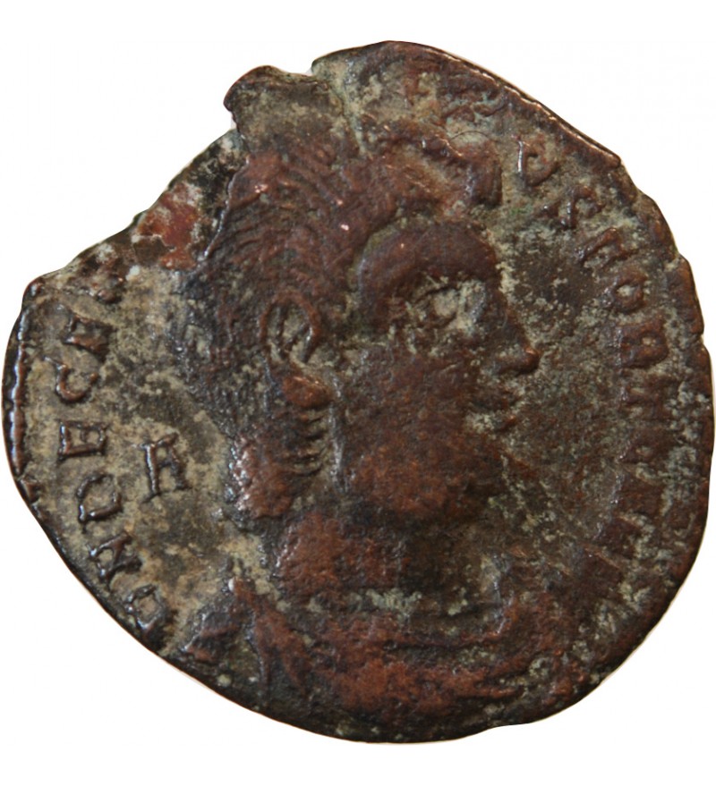 DECENCE - MAIORINA 351 ARLES