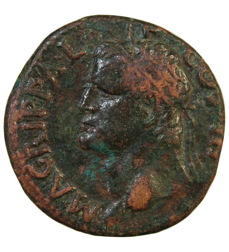 AGRIPPA, FRAPPE SOUS CALIGULA - AS 37 / 41 ROME