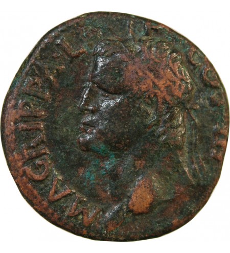 AGRIPPA, FRAPPE SOUS CALIGULA - AS 37 / 41 ROME